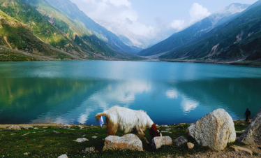 Naran Shogran