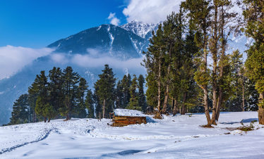 Swat-Malam Jabbah-Kalam