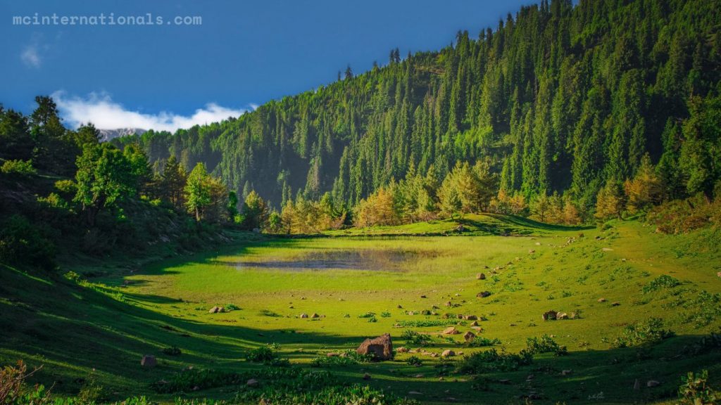 Journey from Naran to Babusar Top Distance  A Mountain Adventure