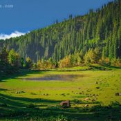 Journey from Naran to Babusar Top Distance  A Mountain Adventure